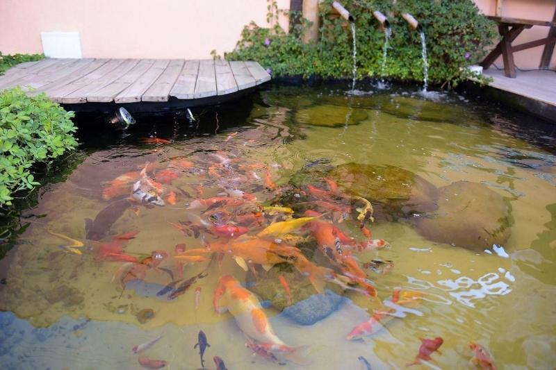 پانسیون Recanto Das Carpas