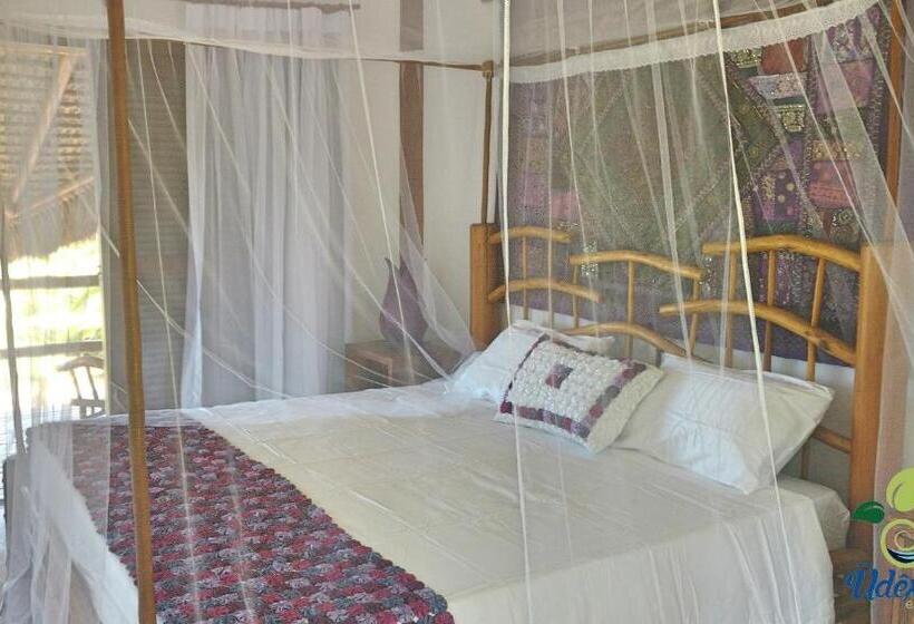 פנסיון Pousada Udexere Eco House