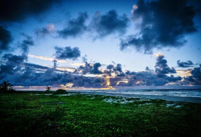 פנסיון Pousada Udexere Eco House