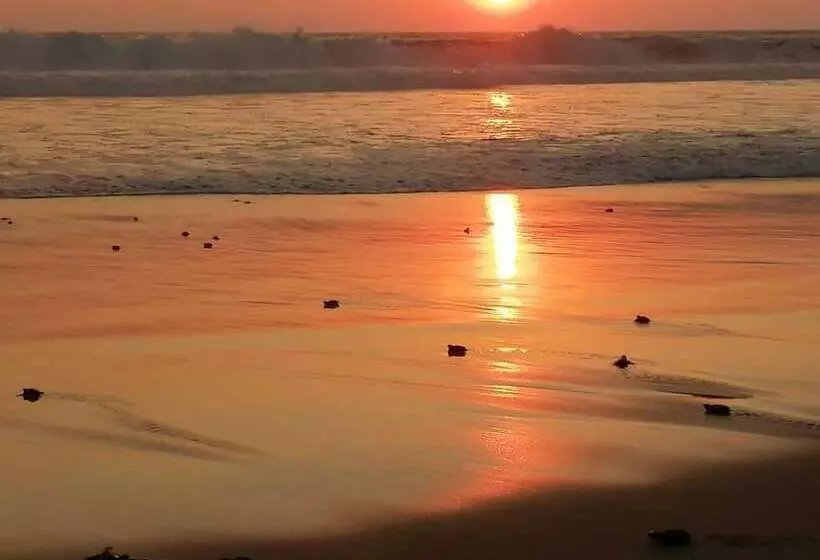 Hotelli Villas Punta Blanca