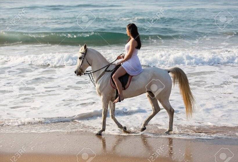 هتل Villas Punta Blanca