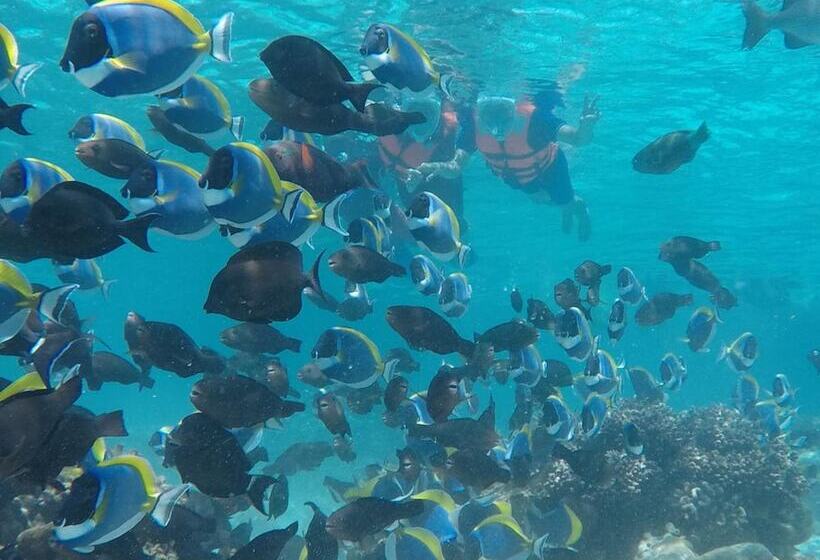 پانسیون Club Blu