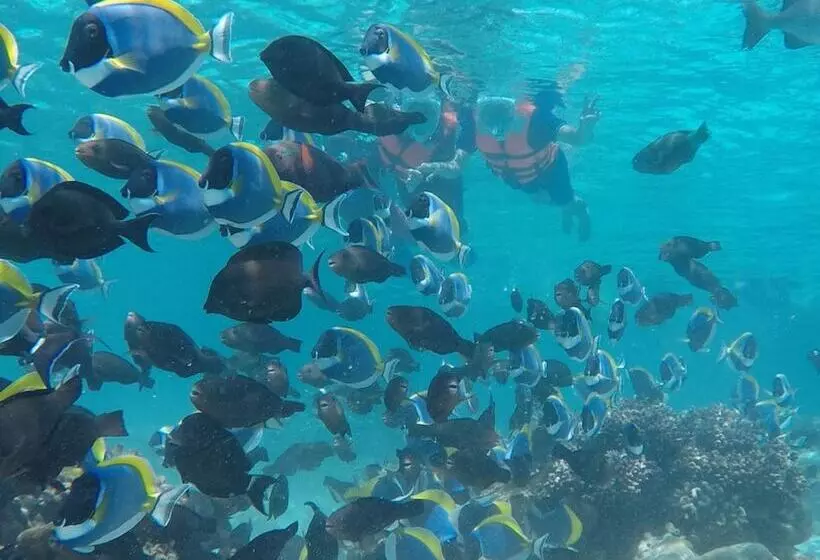 پانسیون Club Blu