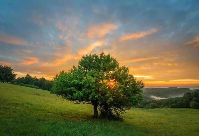 Majatalo Kis Rigó Vendégház