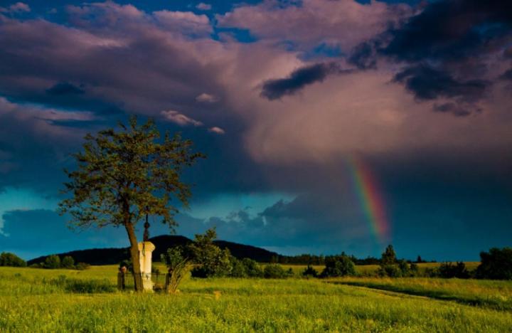 Pensjonat Kis Rigó Vendégház