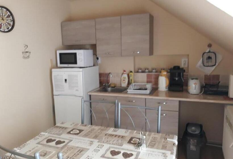 Pensjonat Kis Rigó Vendégház