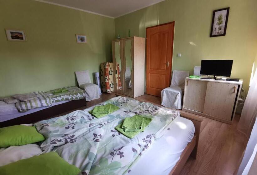 Pensjonat Kis Rigó Vendégház