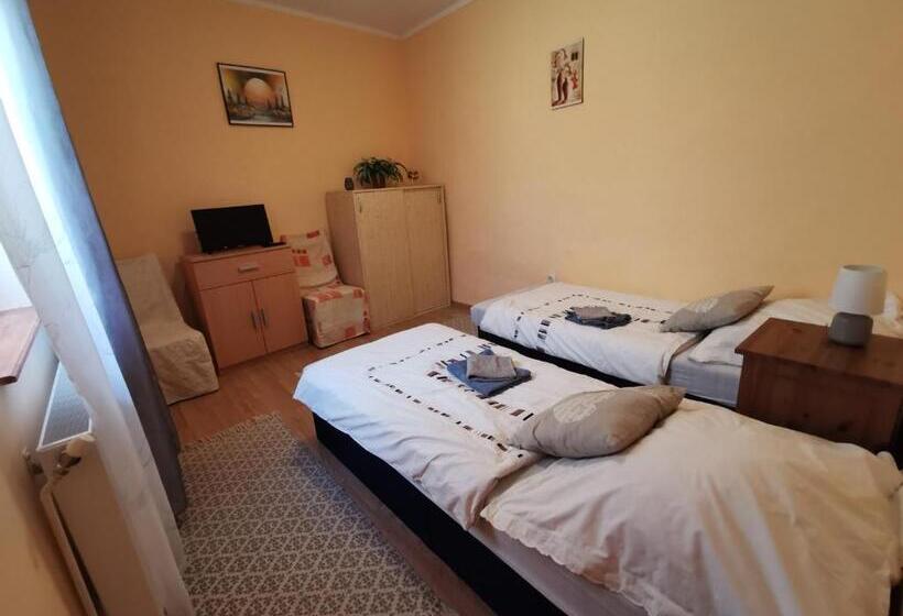 Pensjonat Kis Rigó Vendégház