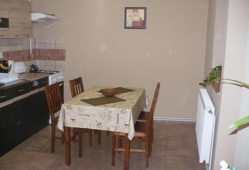 Pensjonat Kis Rigó Vendégház