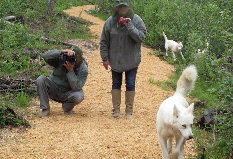 پانسیون Arctic Chalet Resort