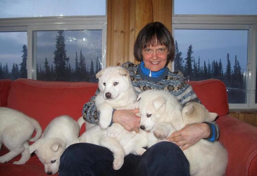 پانسیون Arctic Chalet Resort