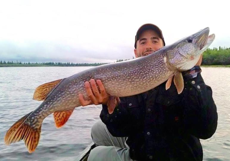 پانسیون Arctic Chalet Resort