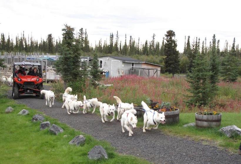 پانسیون Arctic Chalet Resort