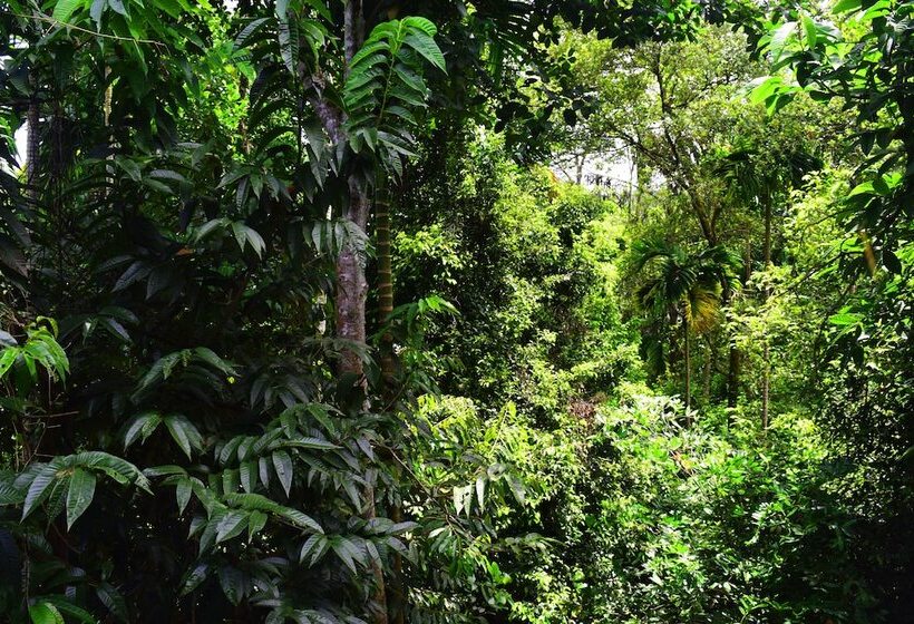 Pensjonat Avaana By Springhills