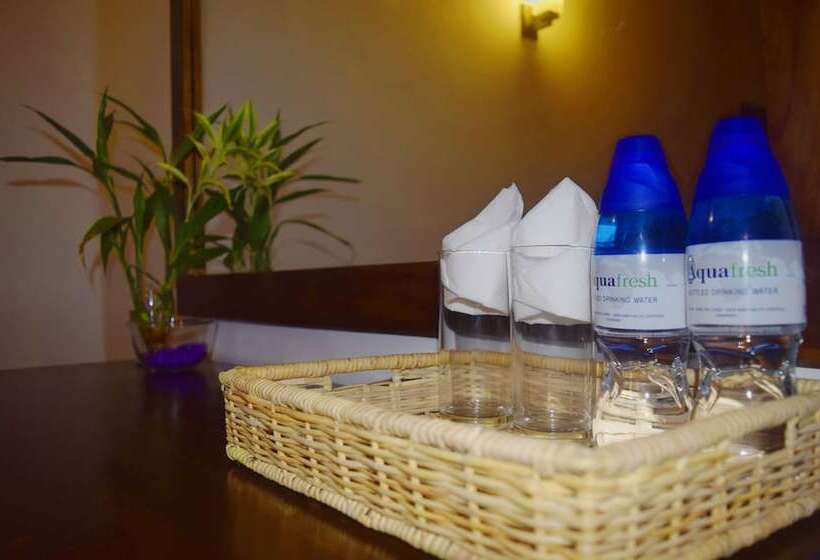 Pensjonat Avaana By Springhills