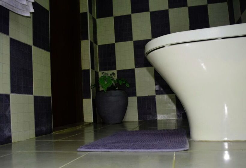 Pensjonat Avaana By Springhills