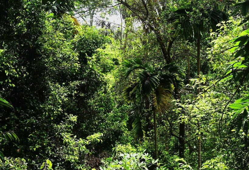 Pensjonat Avaana By Springhills