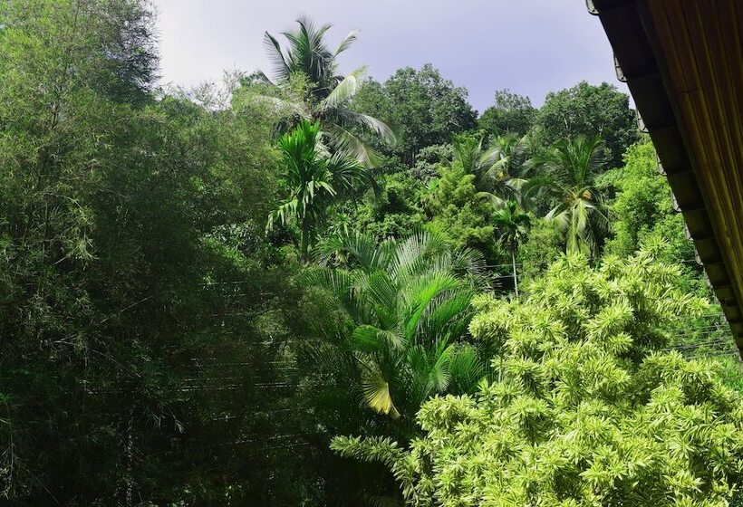 Pensjonat Avaana By Springhills