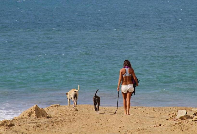 ペンション Pirámide Títi