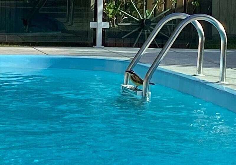 פנסיון Pousada Santa Genoveva Campeche