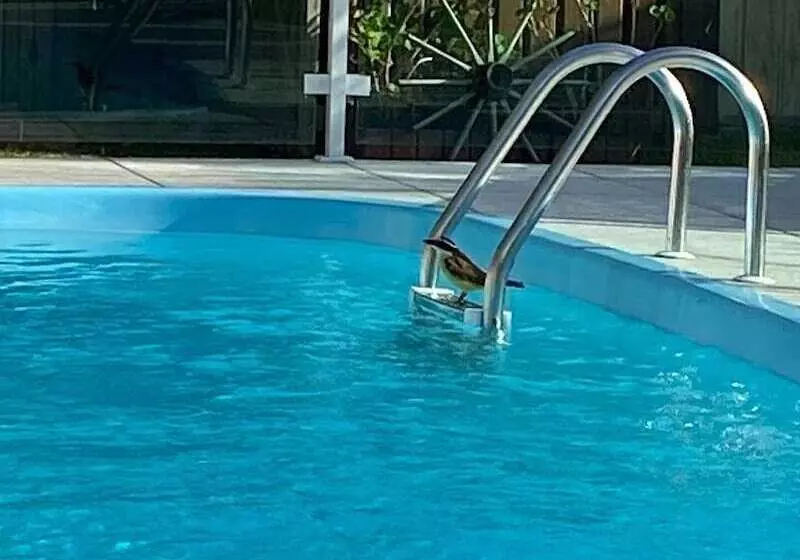 Majatalo Pousada Santa Genoveva Campeche