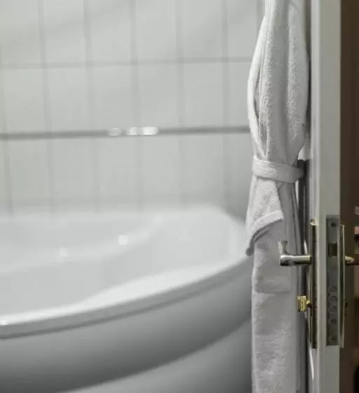 هاستل Aristocrat