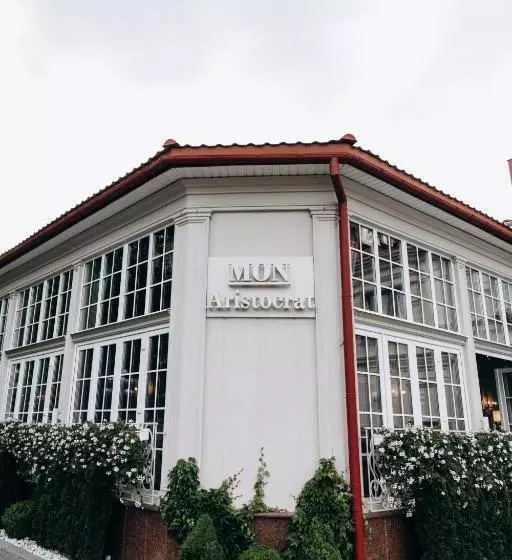 هاستل Aristocrat