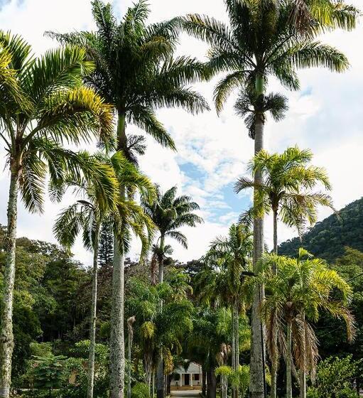 Пансион Itaporanga Pousada