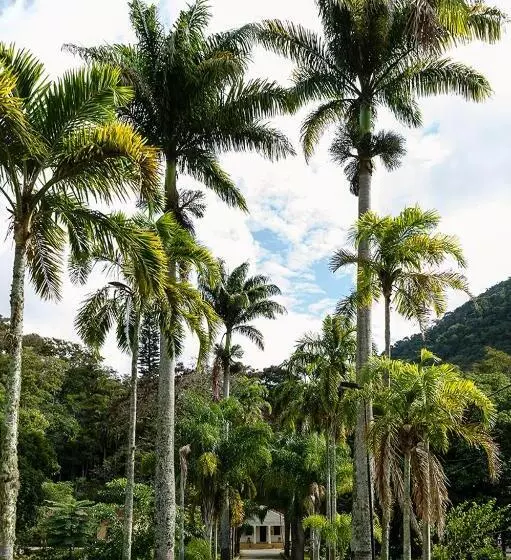 Majatalo Itaporanga Pousada