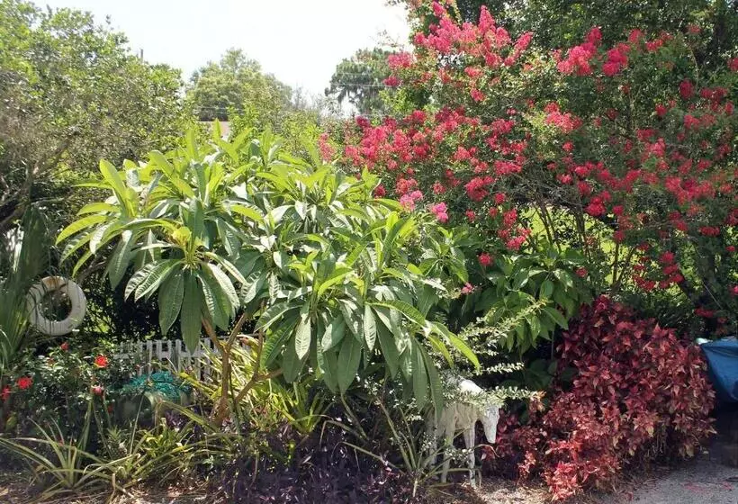 Heron Cay Lakeview Bed & Breakfast