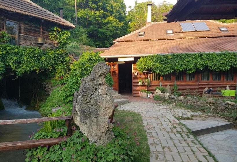 پانسیون Guest House Lisinski Raj