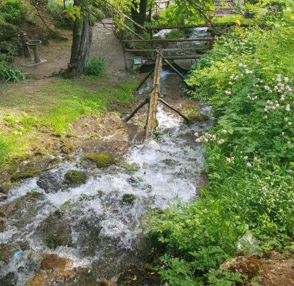 پانسیون Guest House Lisinski Raj