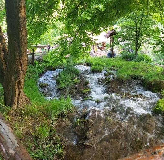 پانسیون Guest House Lisinski Raj