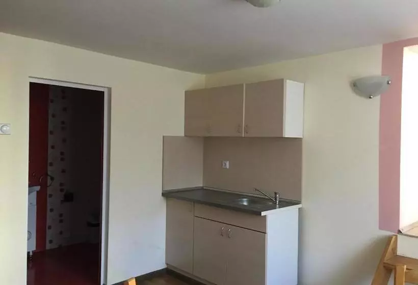 پانسیون Triglav Edelweiss Guest House