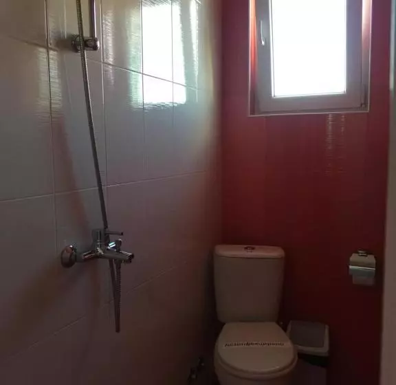 پانسیون Triglav Edelweiss Guest House