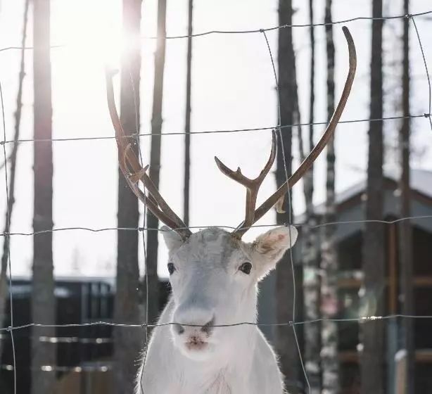 ホテル Nova Skyland