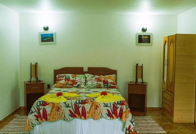 Hostel Hostal Y Cabañas Aorangi