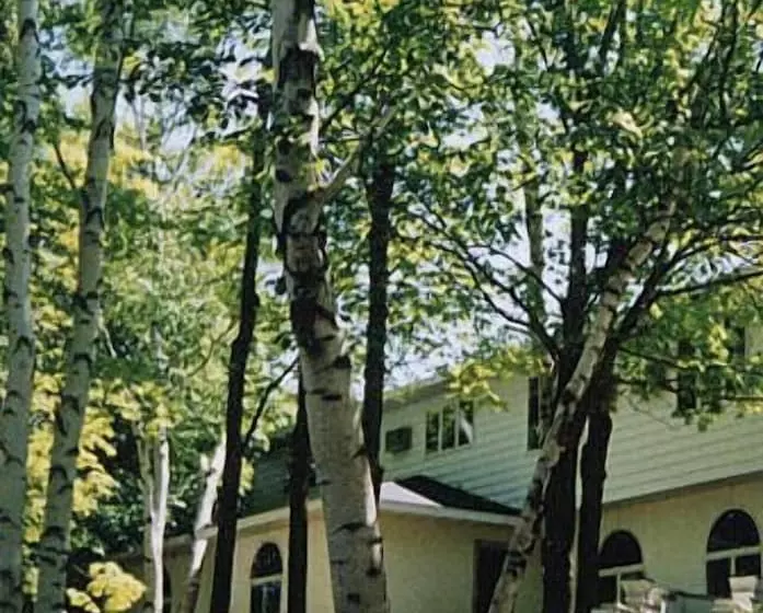 Retkeilymaja White Birch Inn