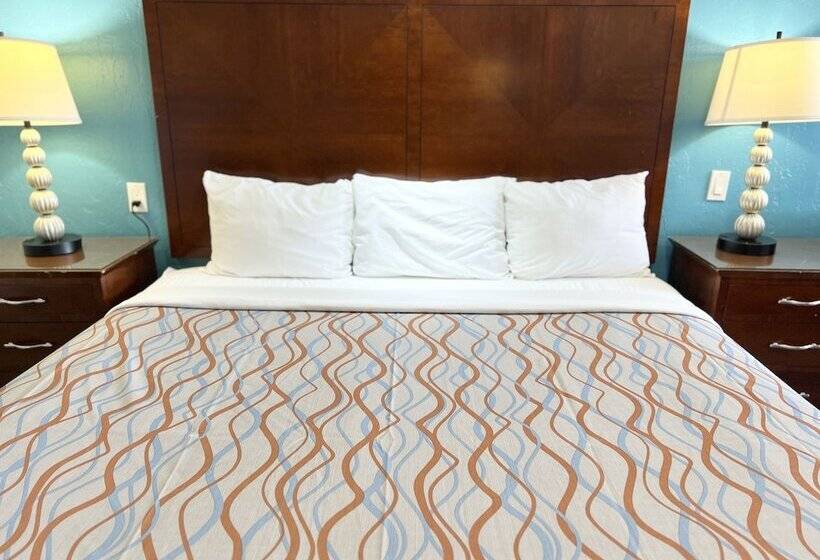 汽车旅馆  Relax Inn Lawton