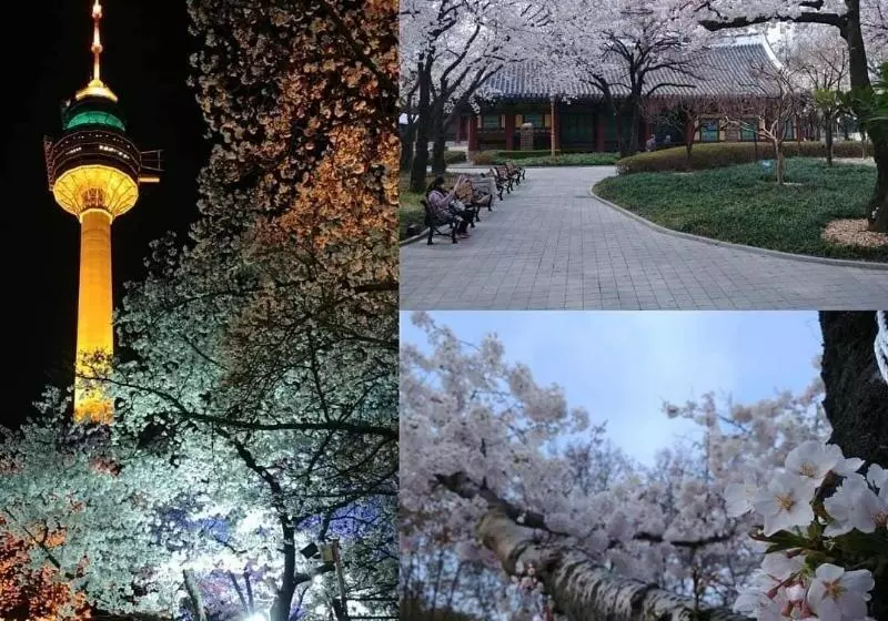 پانسیون Bomgoro Guesthouse