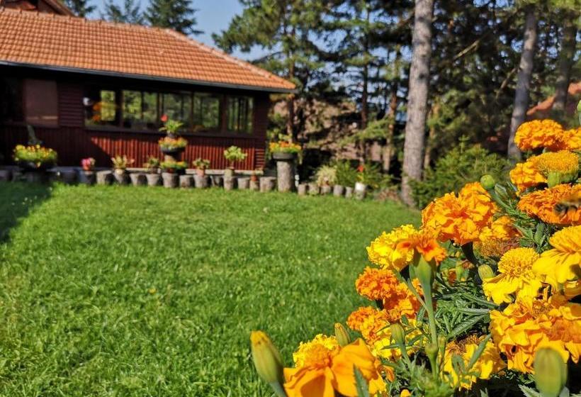 پانسیون Guesthouse Ramović