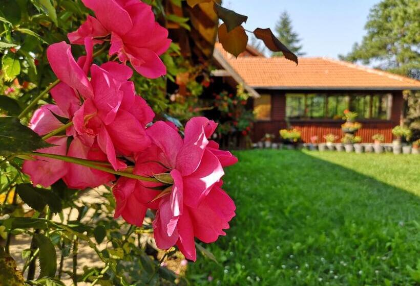 پانسیون Guesthouse Ramović