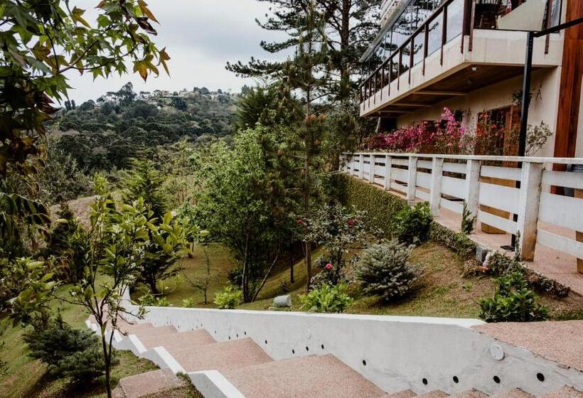 پانسیون Ville De France