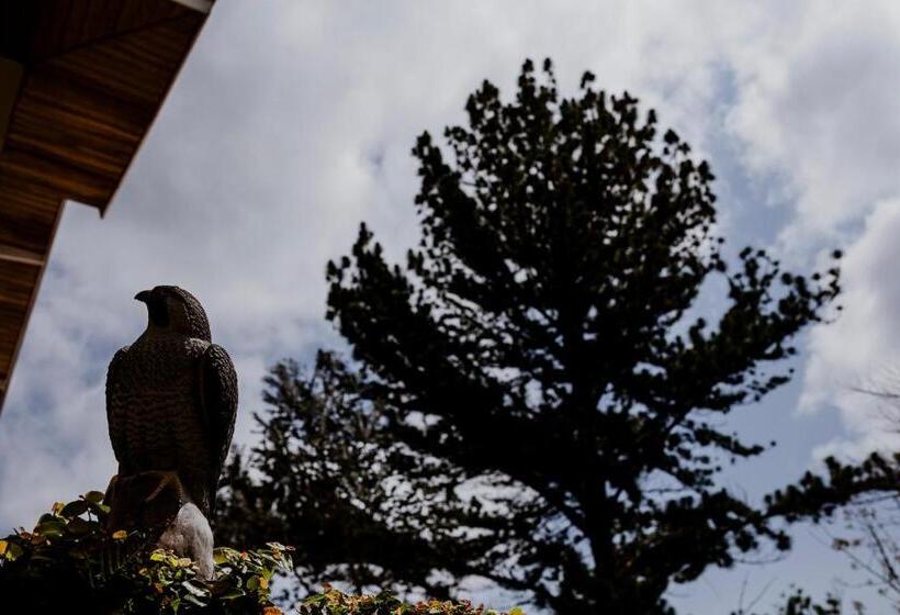 پانسیون Ville De France