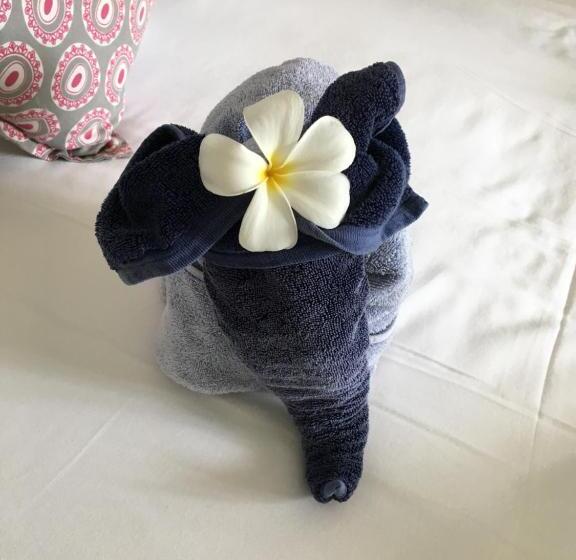 Пансион Nil Menik Villa