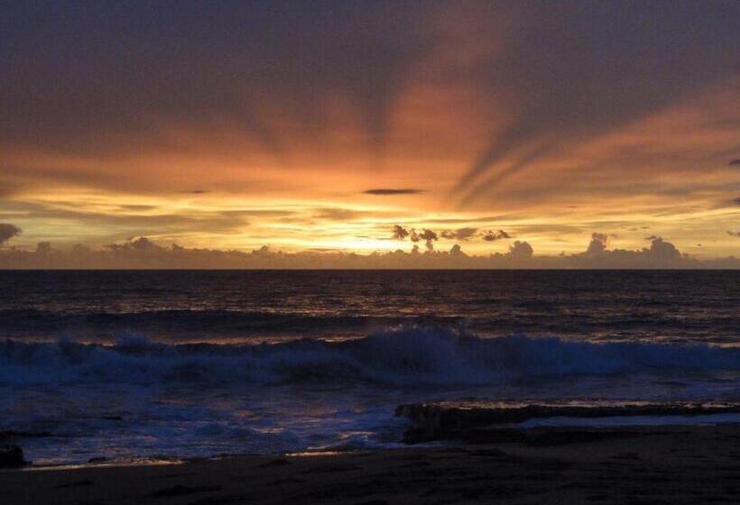 Пансион Nil Menik Villa