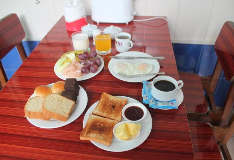 Mother Land Inn 2  Hostel