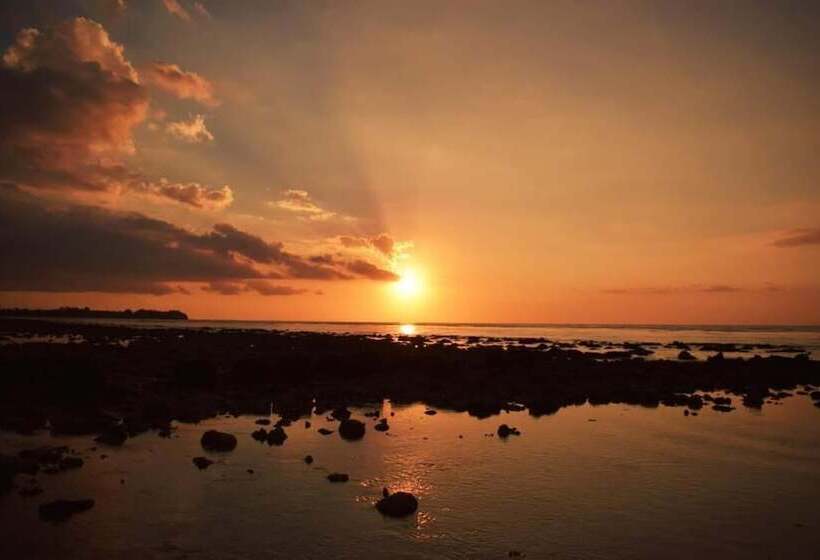 ホテル Le Pirate Gili Meno   Adults Only