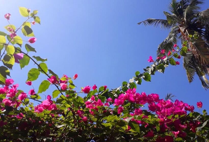 ホテル Le Pirate Gili Meno   Adults Only