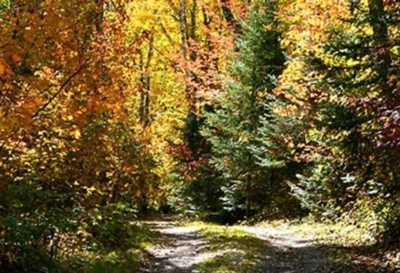 Leech Lake Resort Bed & Breakfast